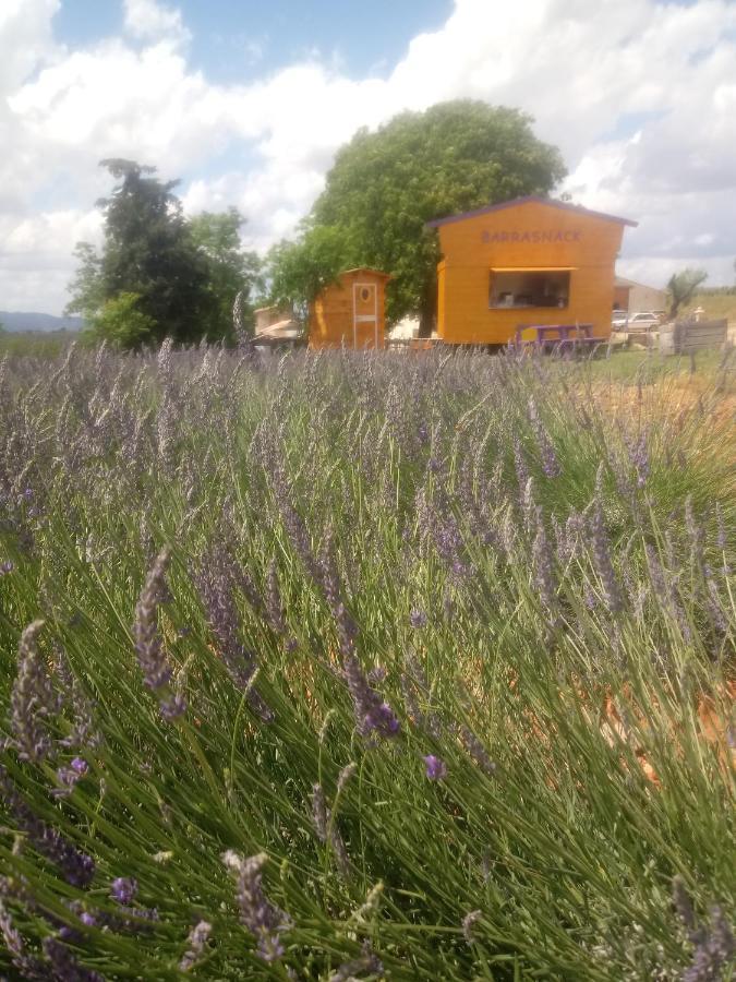 Chambre A La Ferme Au Milieu Des Lavandes Valensole Buitenkant foto
