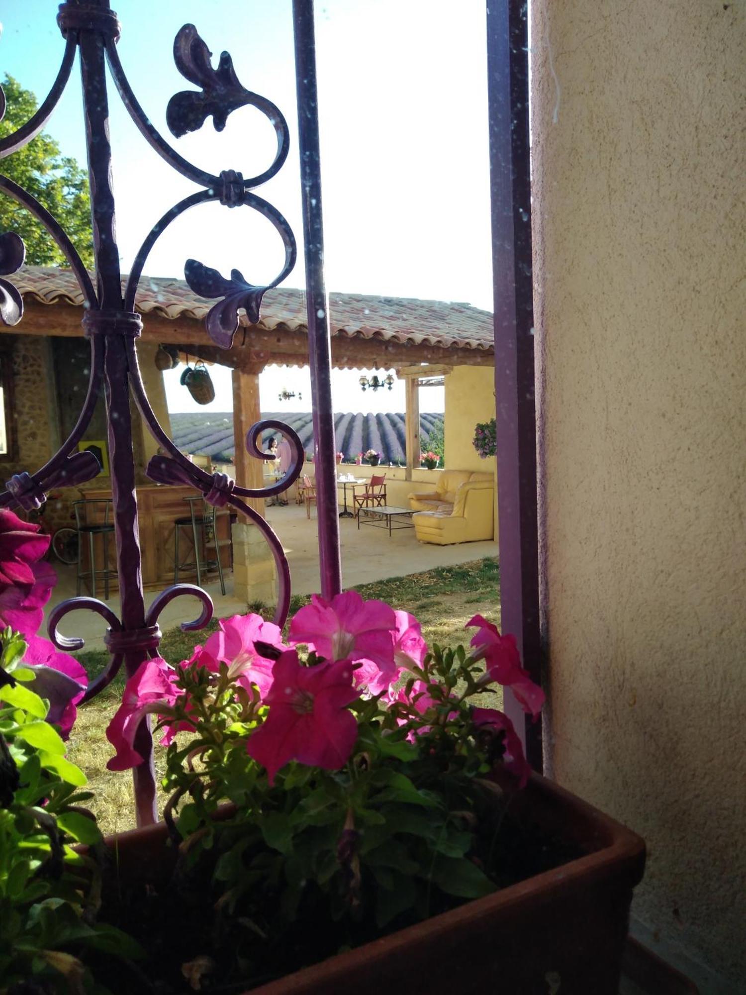 Chambre A La Ferme Au Milieu Des Lavandes Valensole Buitenkant foto